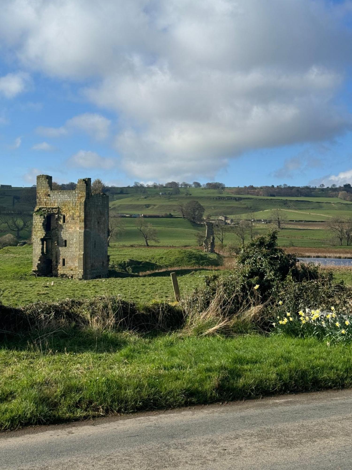 Chestnut Cottage Ravensworth ريتشموند المظهر الخارجي الصورة